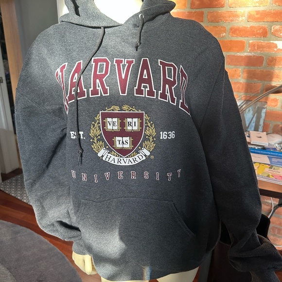 Gray Harvard Hoodie ~ Size XL - Picture 1 of 5